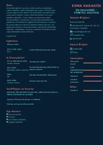 Yönetici Asistanı Cv Örnekleri cv indir